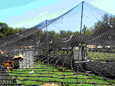 "3/8 hog rings in galvanized finish"